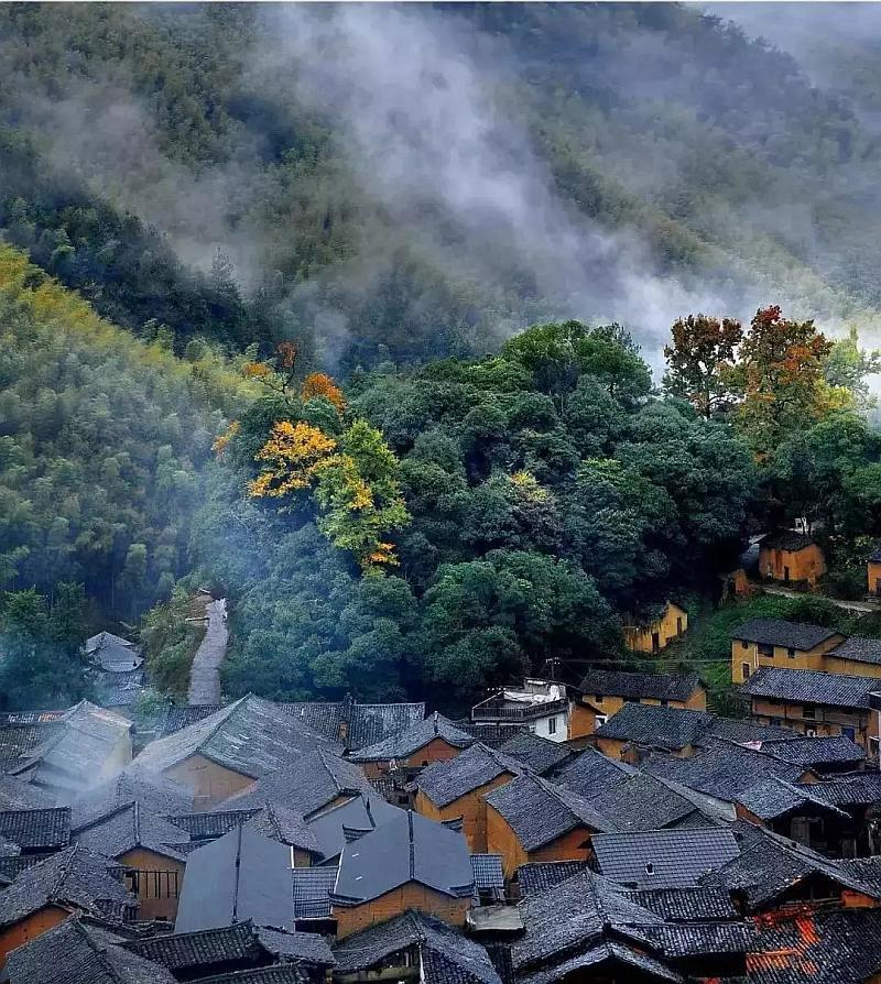 日照市住建局召开2023年度工作述职暨基层党组织书记抓基层党建工作述职评议工作会议